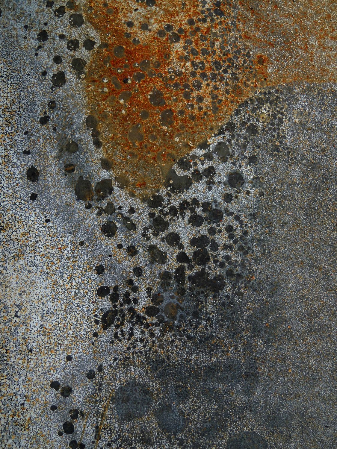 Rust Texture Patterns Abstract Rust and Texture Patterns on Metal · Free Stock Photo
