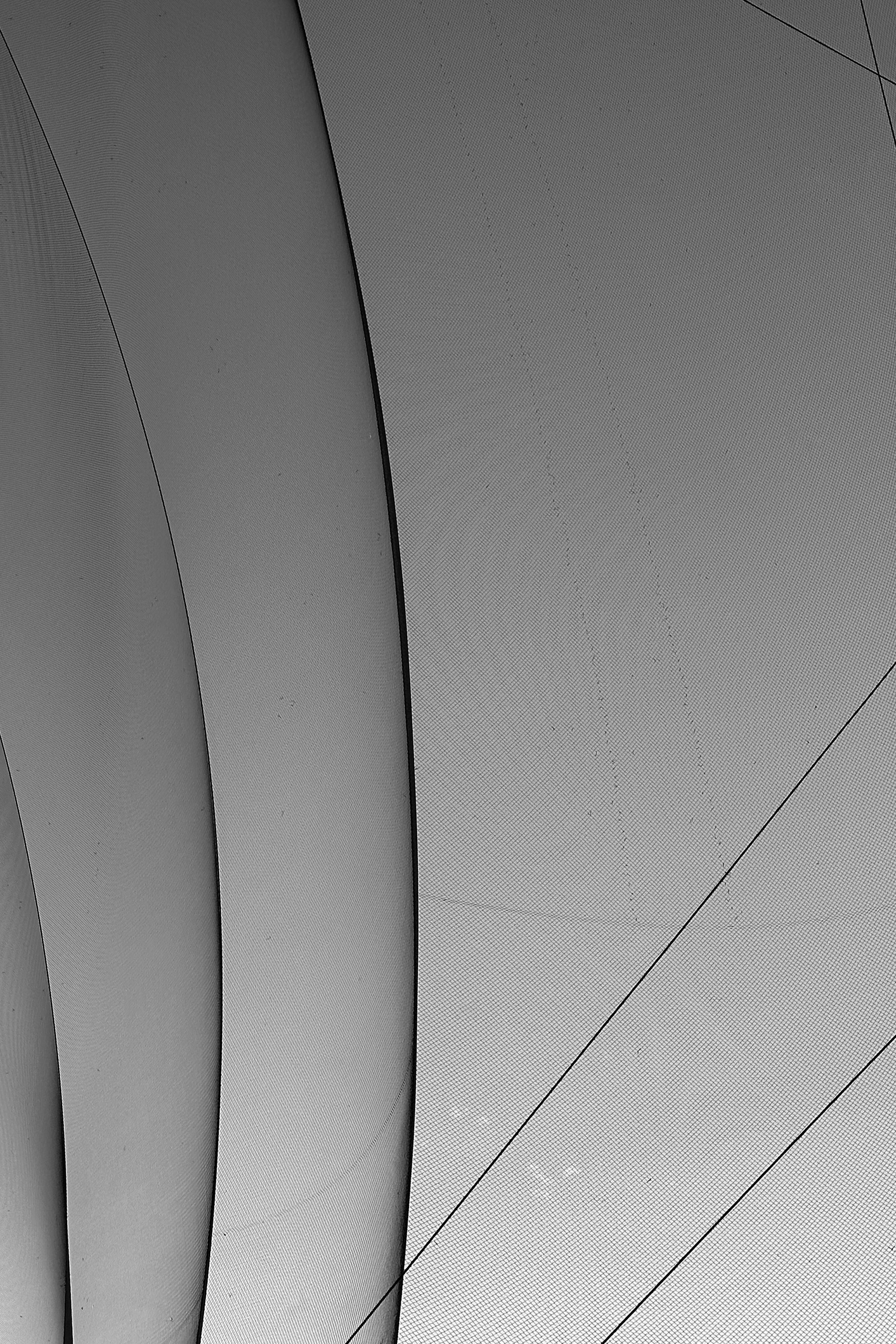 bezplatná Minimalistický černobílý abstrakt s křivkami a liniemi vytvářející moderní vzor. Základová fotografie