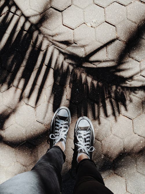 Person Standing on Floor With Palm Tree Shadow