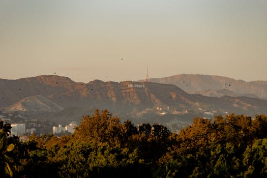 Los Roques, Venezuela photo 17