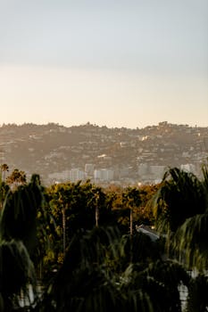 黄昏时分，山坡上景色优美，雾气缭绕的天空更凸显了房屋与景观
