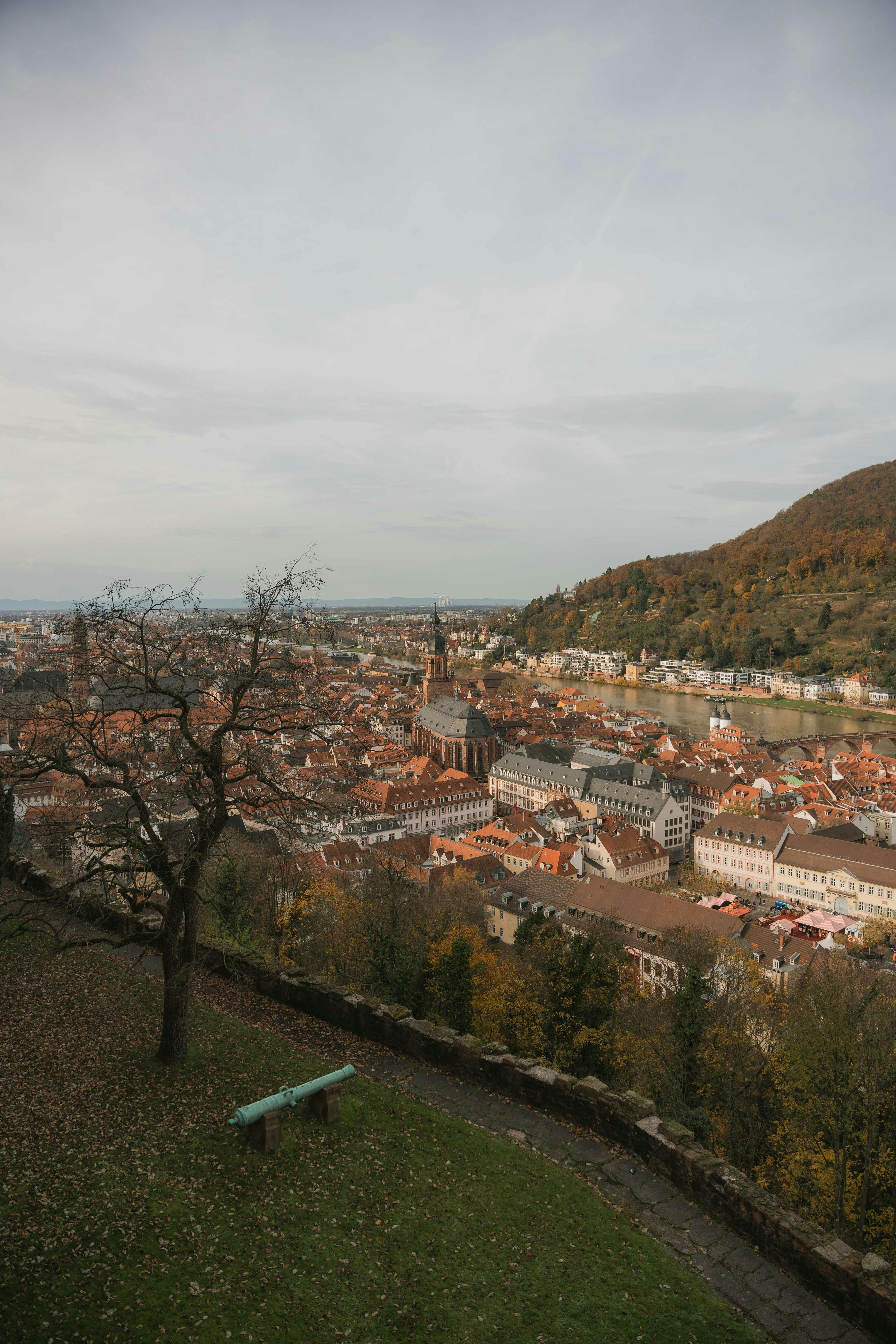 scenic view of heidelberg with historic architecture