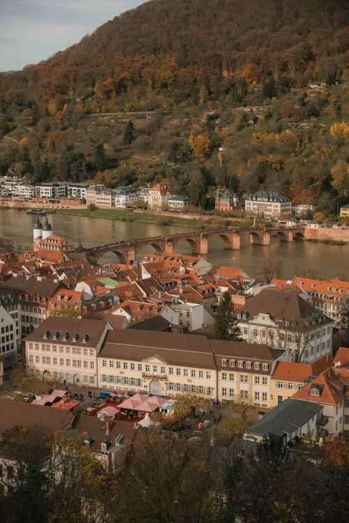Free Aerial view of Heidelberg's charming orange rooftops along the Neckar River in autumn. Stock Photo
