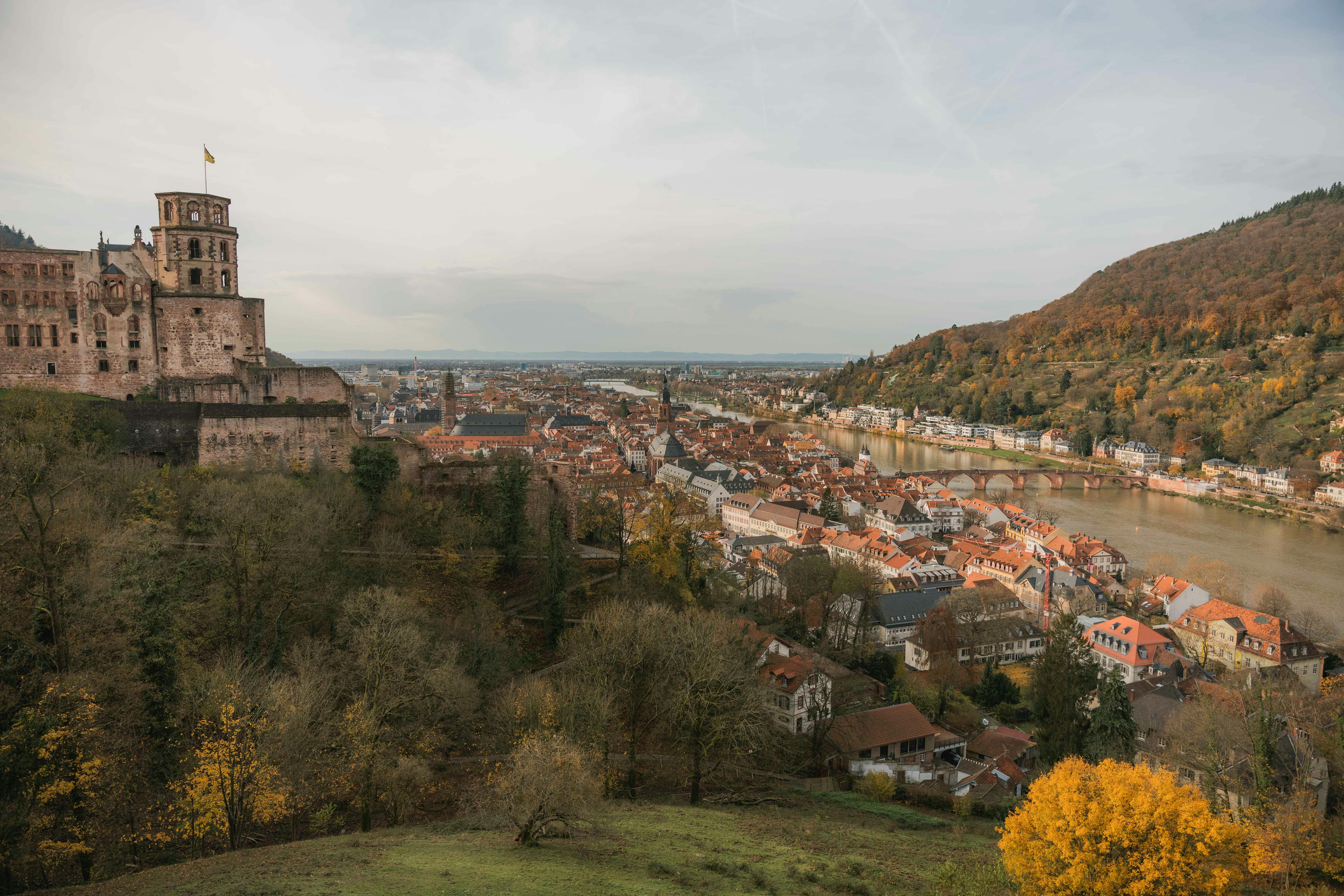 heidelberg castle overlooking autumnal cityscape