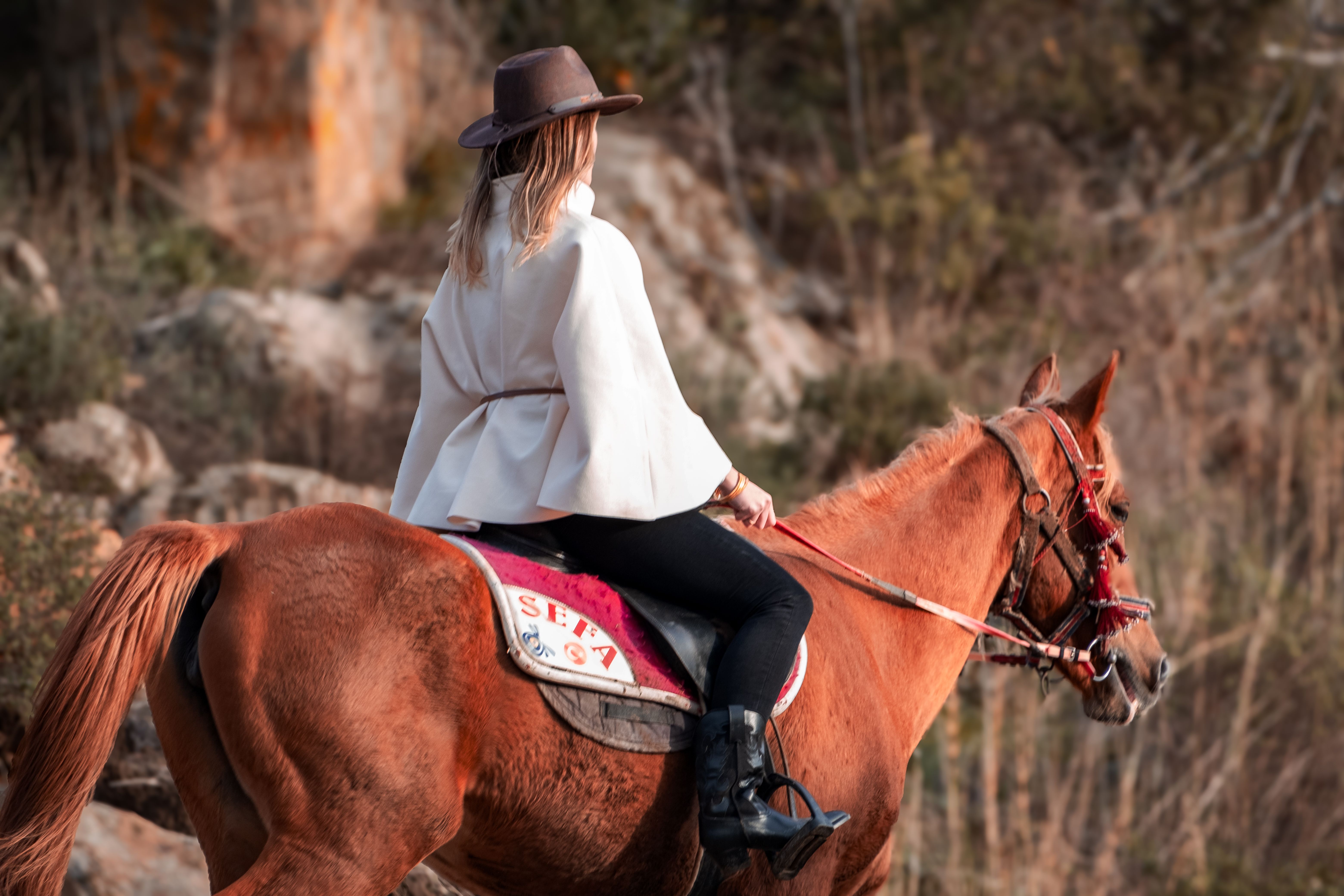 Türkiye’s population prefers Western lifestyle, survey shows — Photo by Enes Beydilli on Pexels