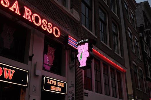 Vibrant neon signage outside Casa Rosso in Amsterdam's Red Light District at night.