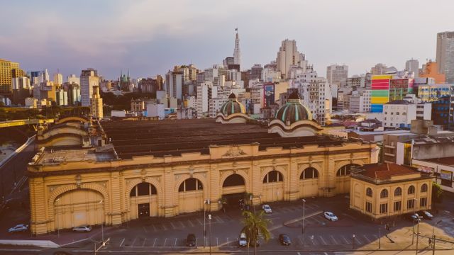 A stunning aerial shot of São Paulo's architectural beauty and vibrant skyline.