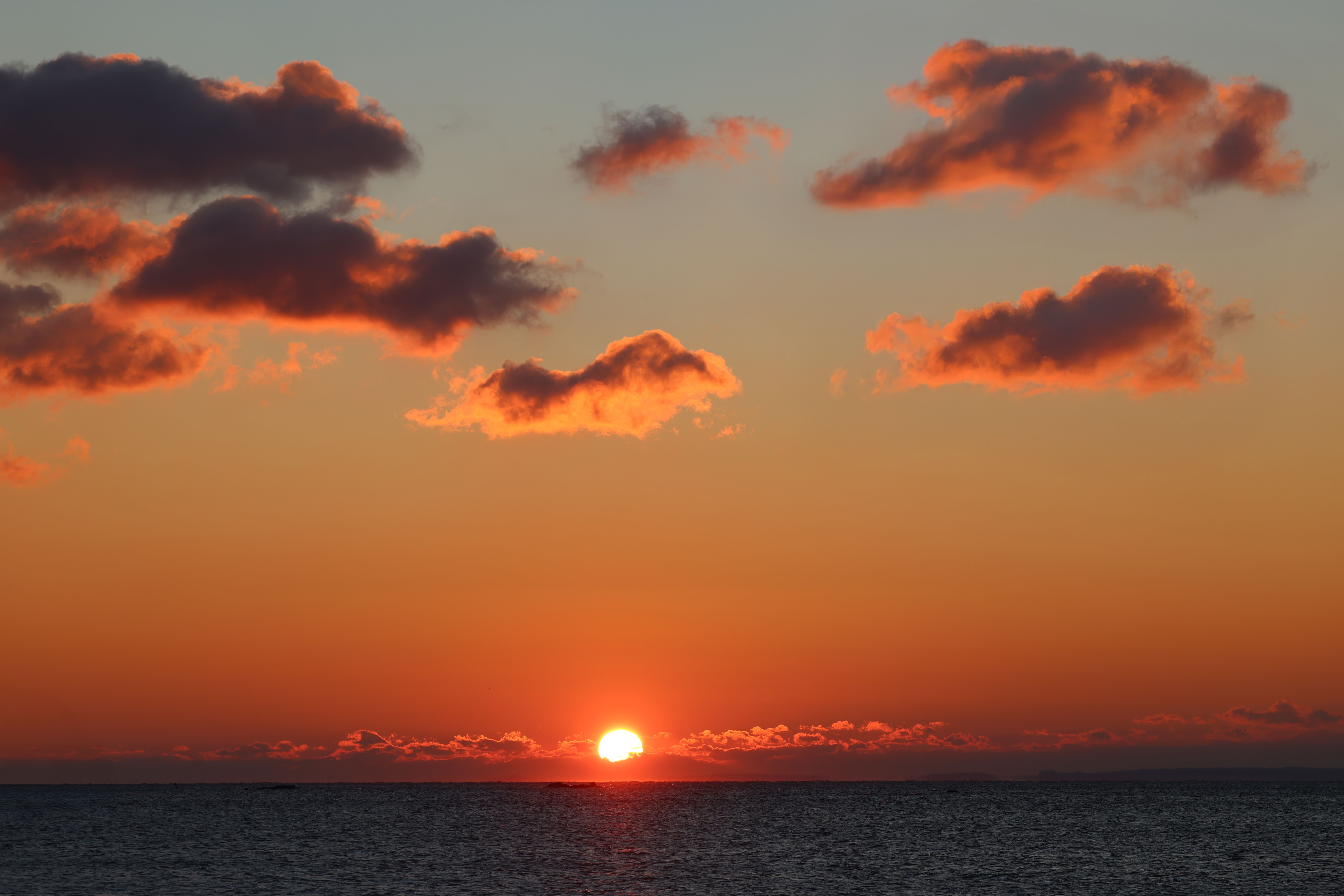 Sunrise Chef: Weis Markets shares budget-friendly recipes — Photo by David Kanigan on Pexels
