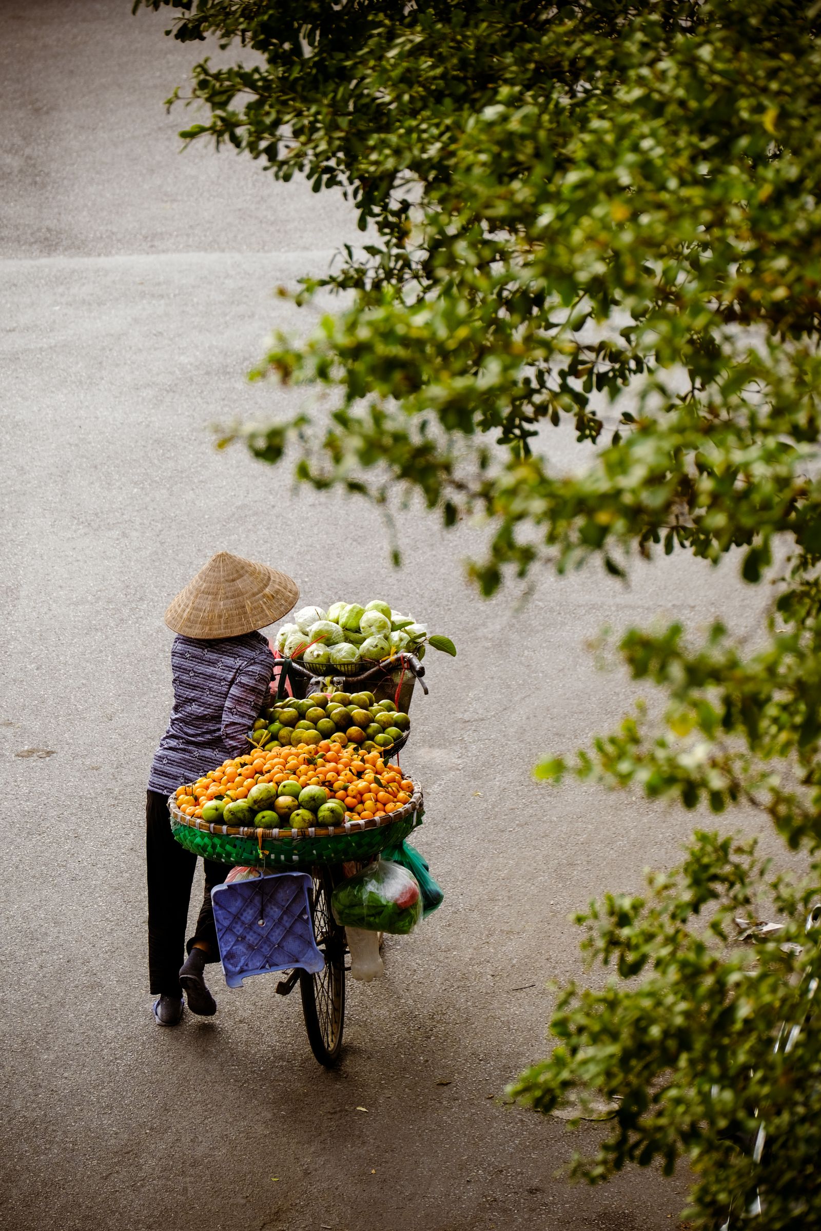 A street vendor selling fruit from a bicycle on a Vietnamese street