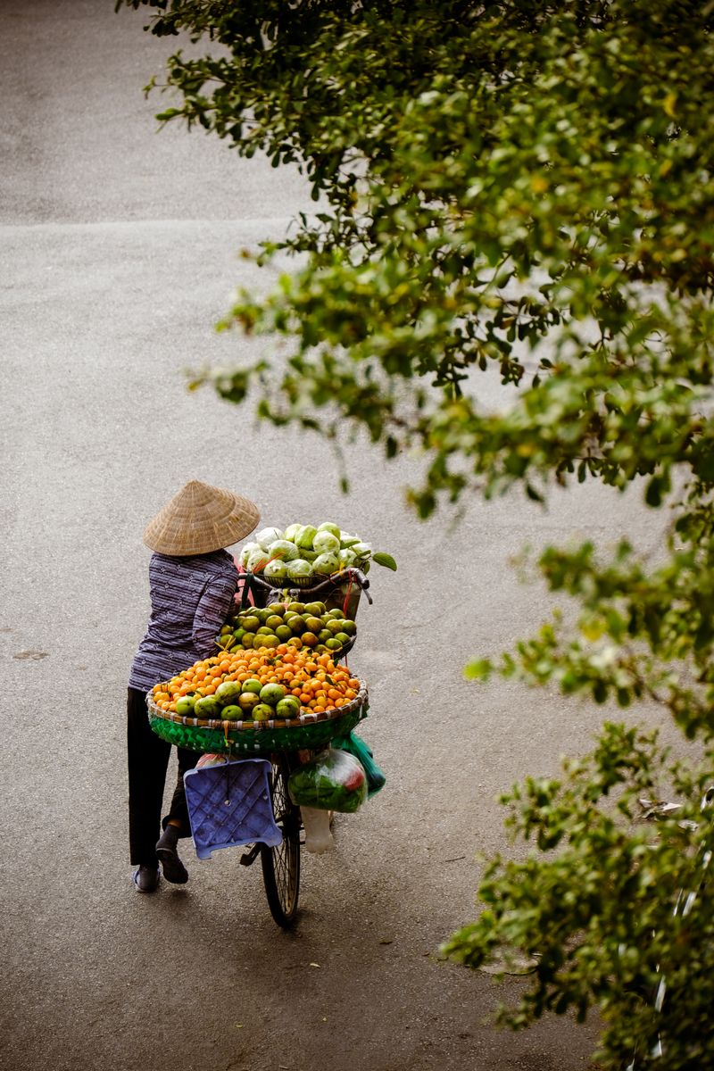 A street vendor selling fruit from a bicycle in Vietnam