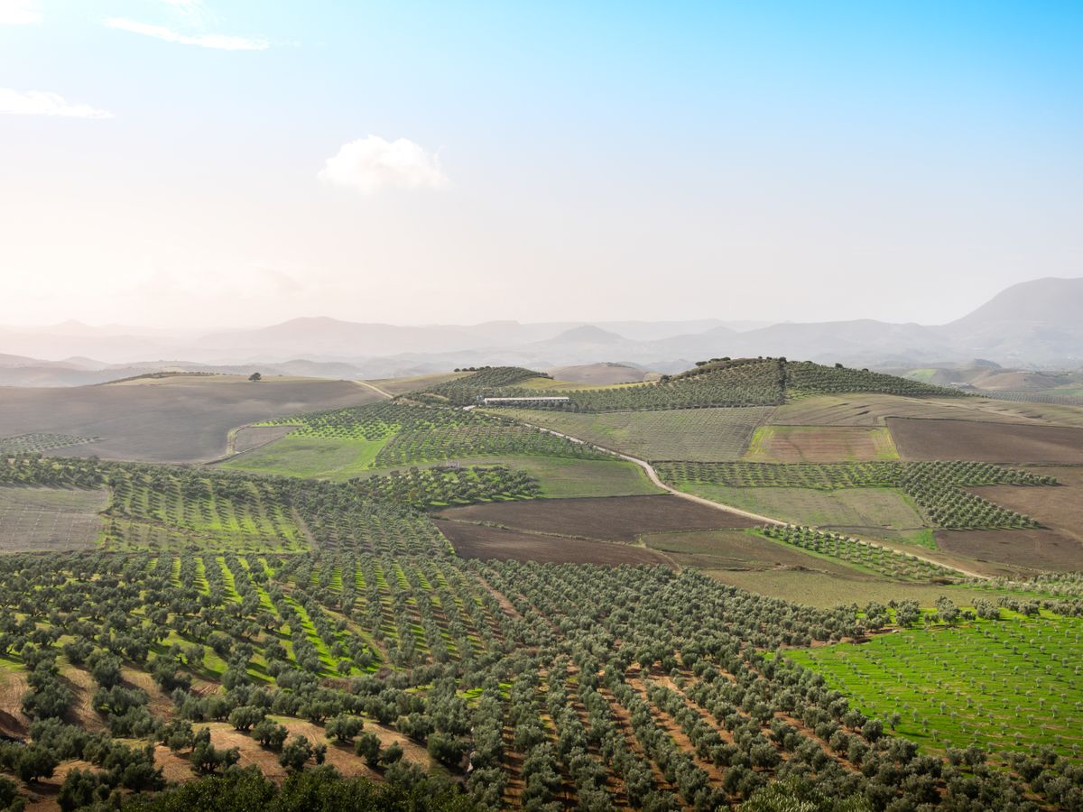 3 Day Yoga Retreat in Unspoiled Spain, 1 Hour From Madrid 1