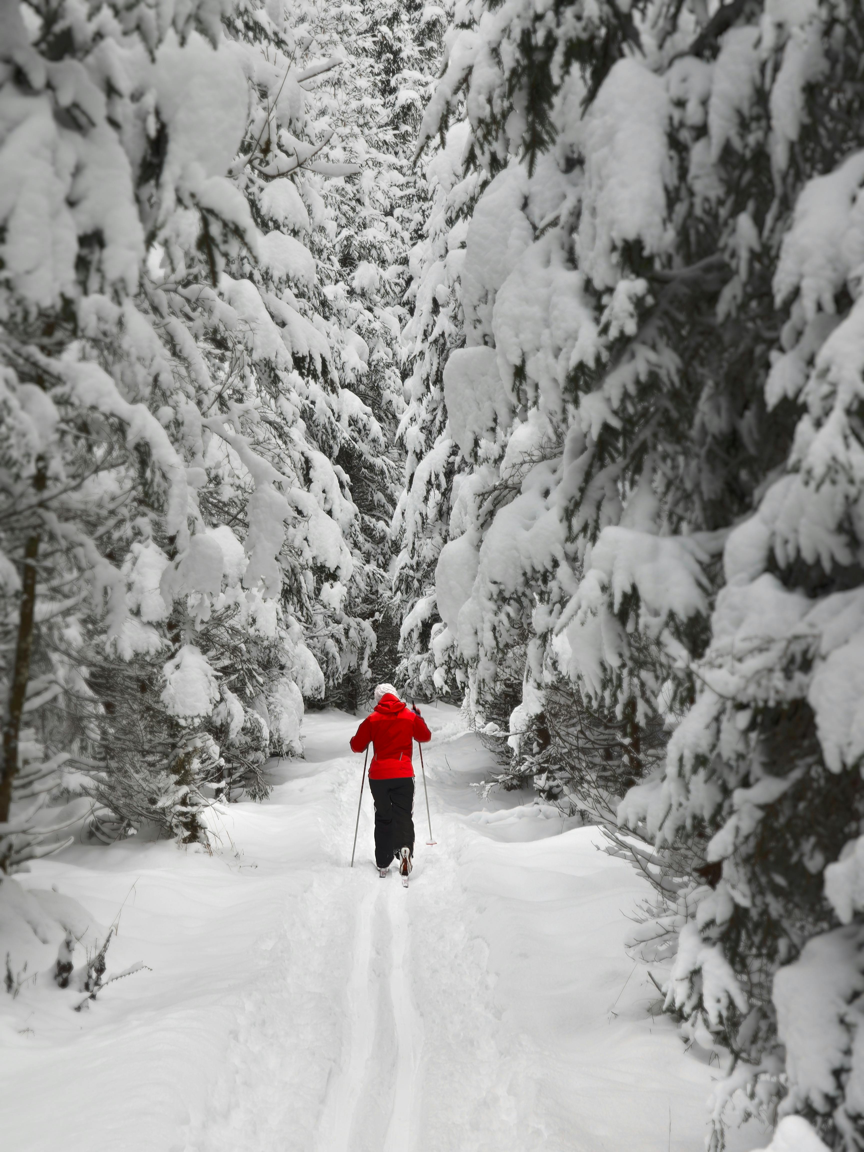 Person in red jacket skiing through a snow-covered Austrian forest.