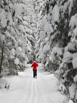 Person in red jacket skiing through a snow-covered Austrian forest.