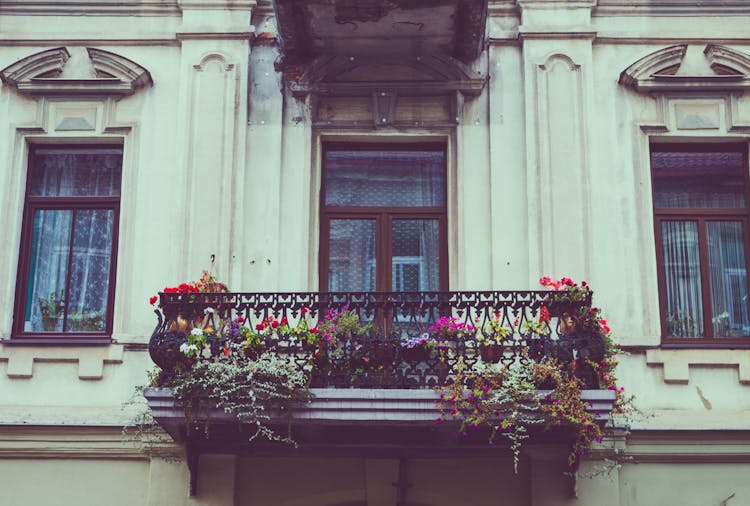 Flowers On Fence