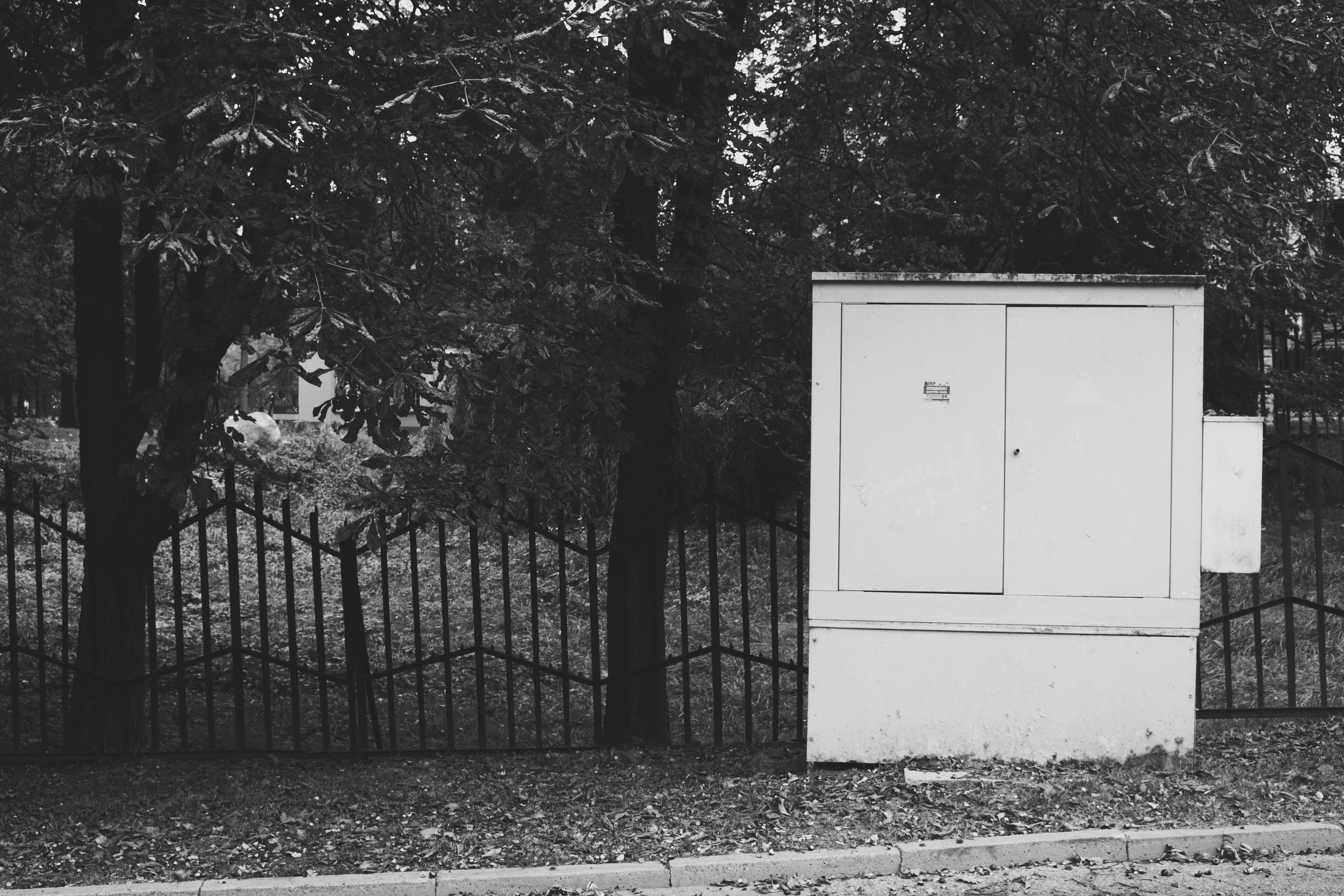 Opinion | This Is What Will Ruin Public Opinion Polling for Good — Photo by Dom J on Pexels