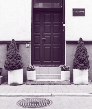 入口采用优雅的单色设计，深色门上对称摆放着盆栽植物