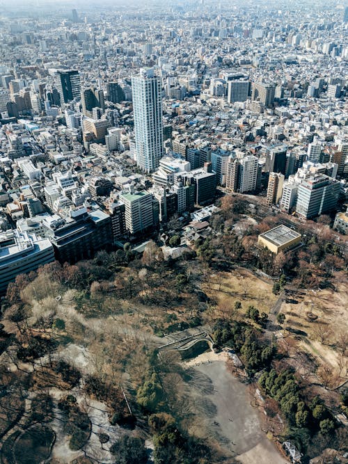 白天鳥瞰城市