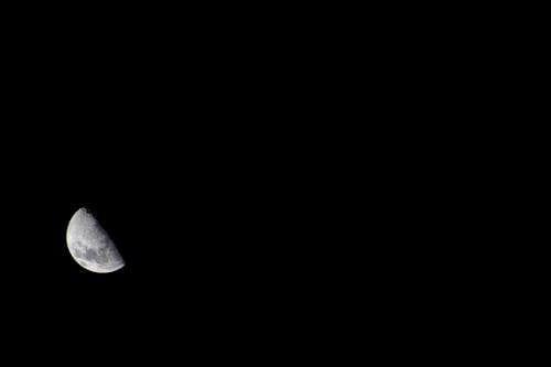 Free stock photo of clear sky, half moon, moon Stock Photo