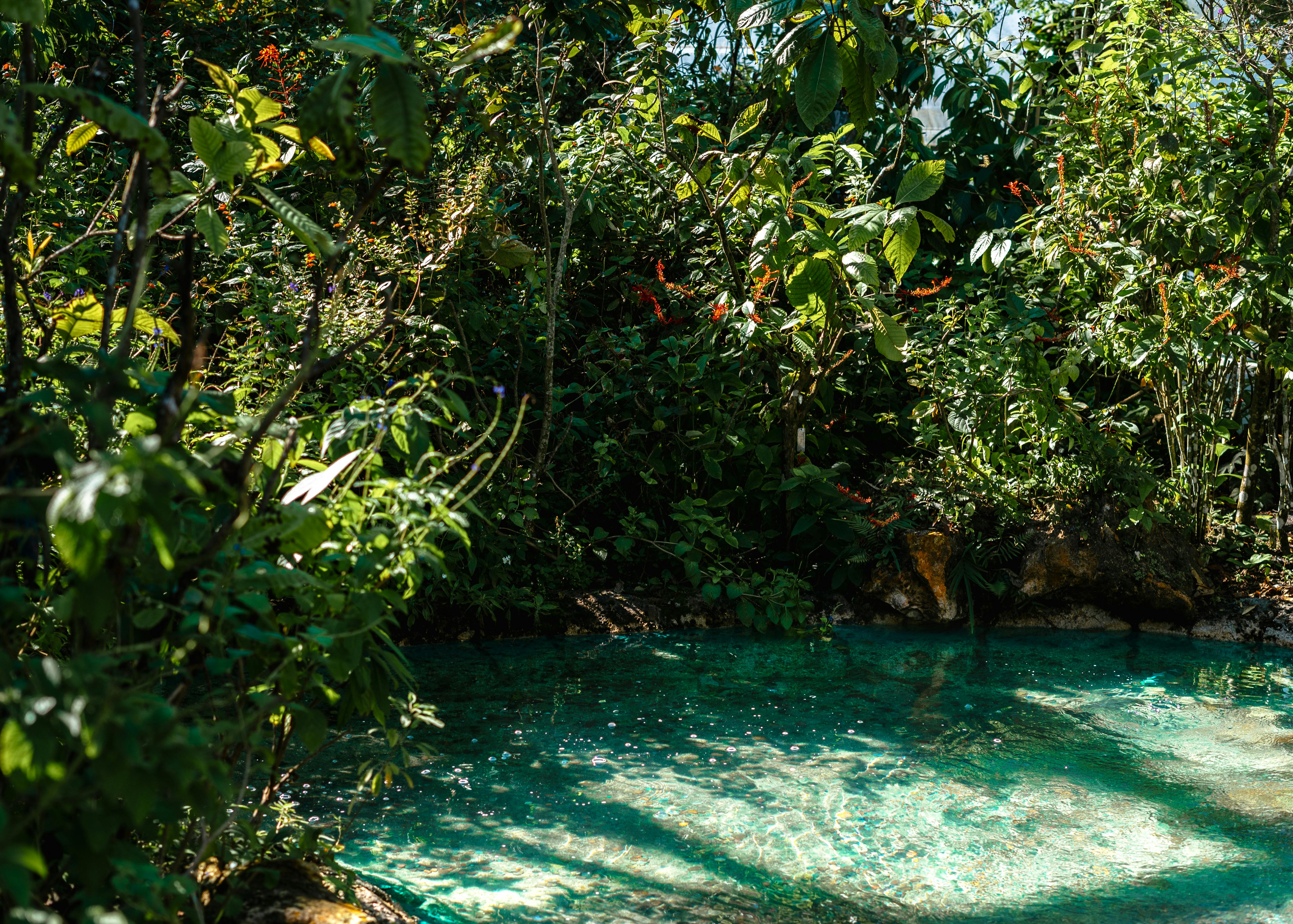 peaceful garden at a Florida rehab facility - palm beach rehab centers