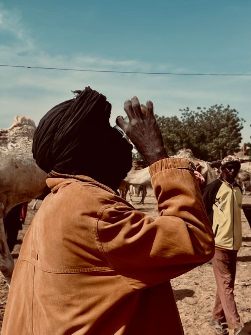 Free A camel herder in a traditional turban at an outdoor livestock market under a bright sky. Stock Photo