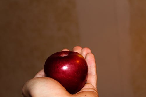 Kostnadsfri bild av äpple, här, röd