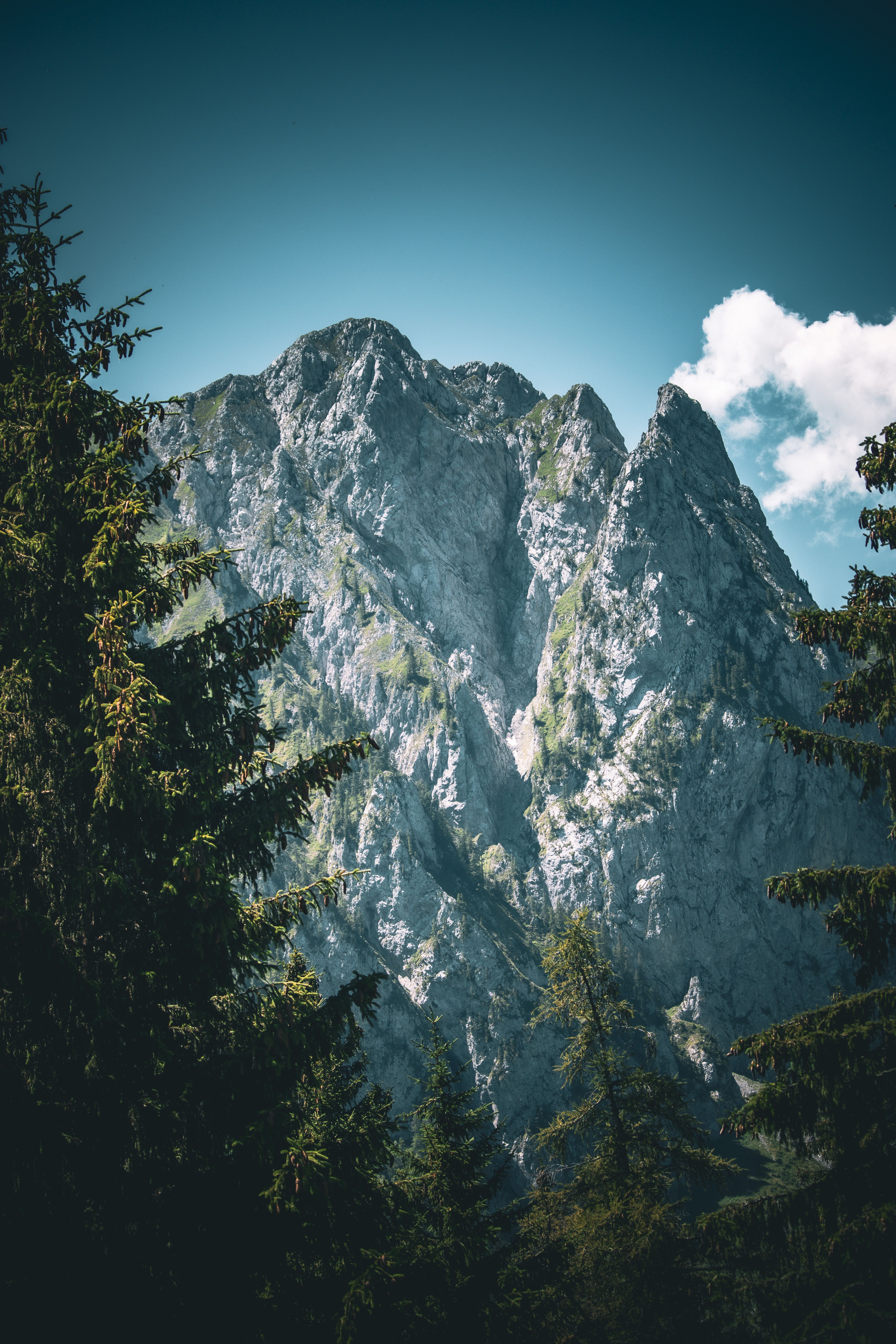 Breathtaking alpine landscape with towering peaks amidst verdant trees on a clear summer day.