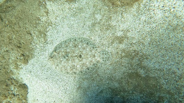 卡通鸵鸟把头埋进沙子里