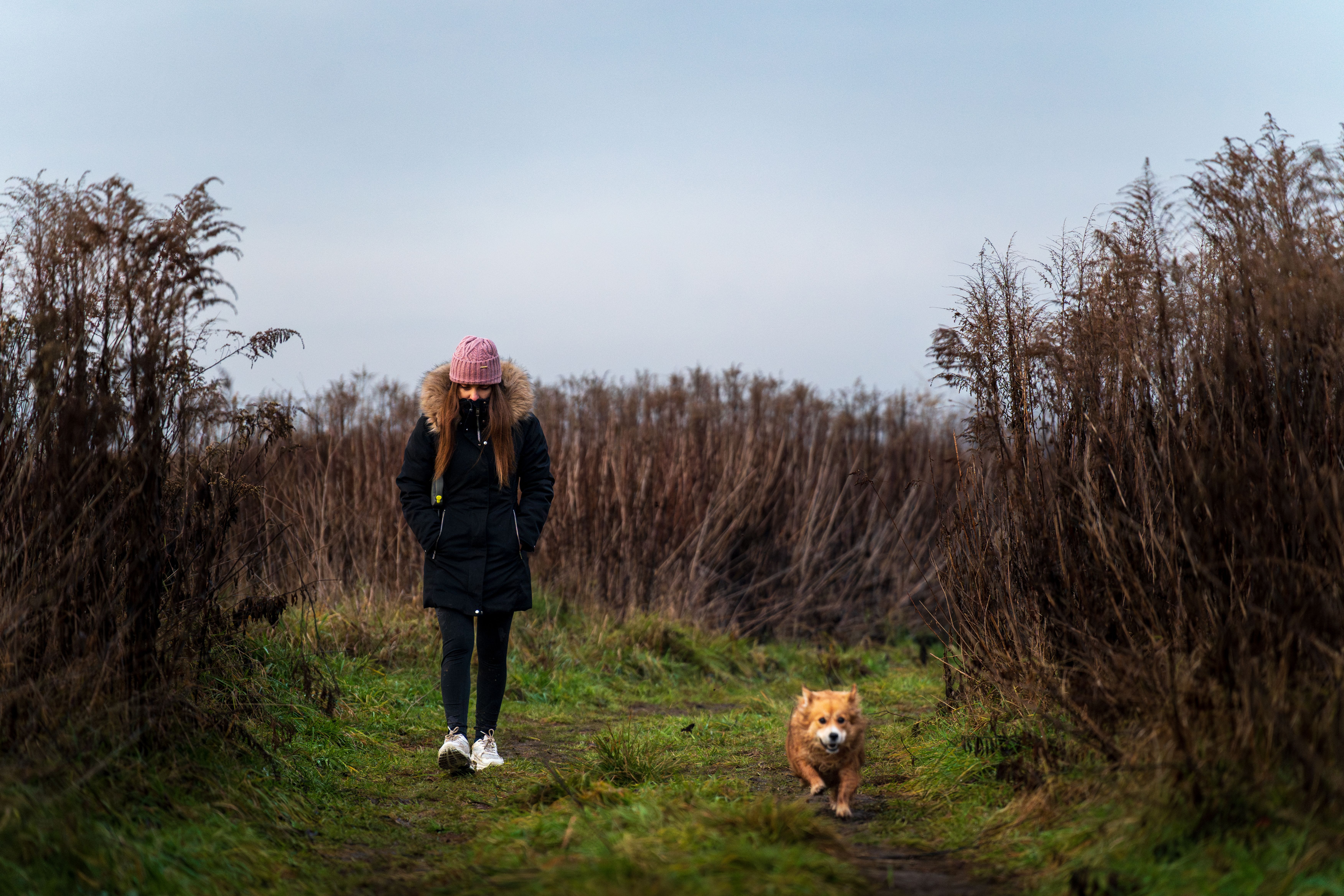 A woman in winter attire strolling with her dog in the natural landscape of Brzegi, Poland.