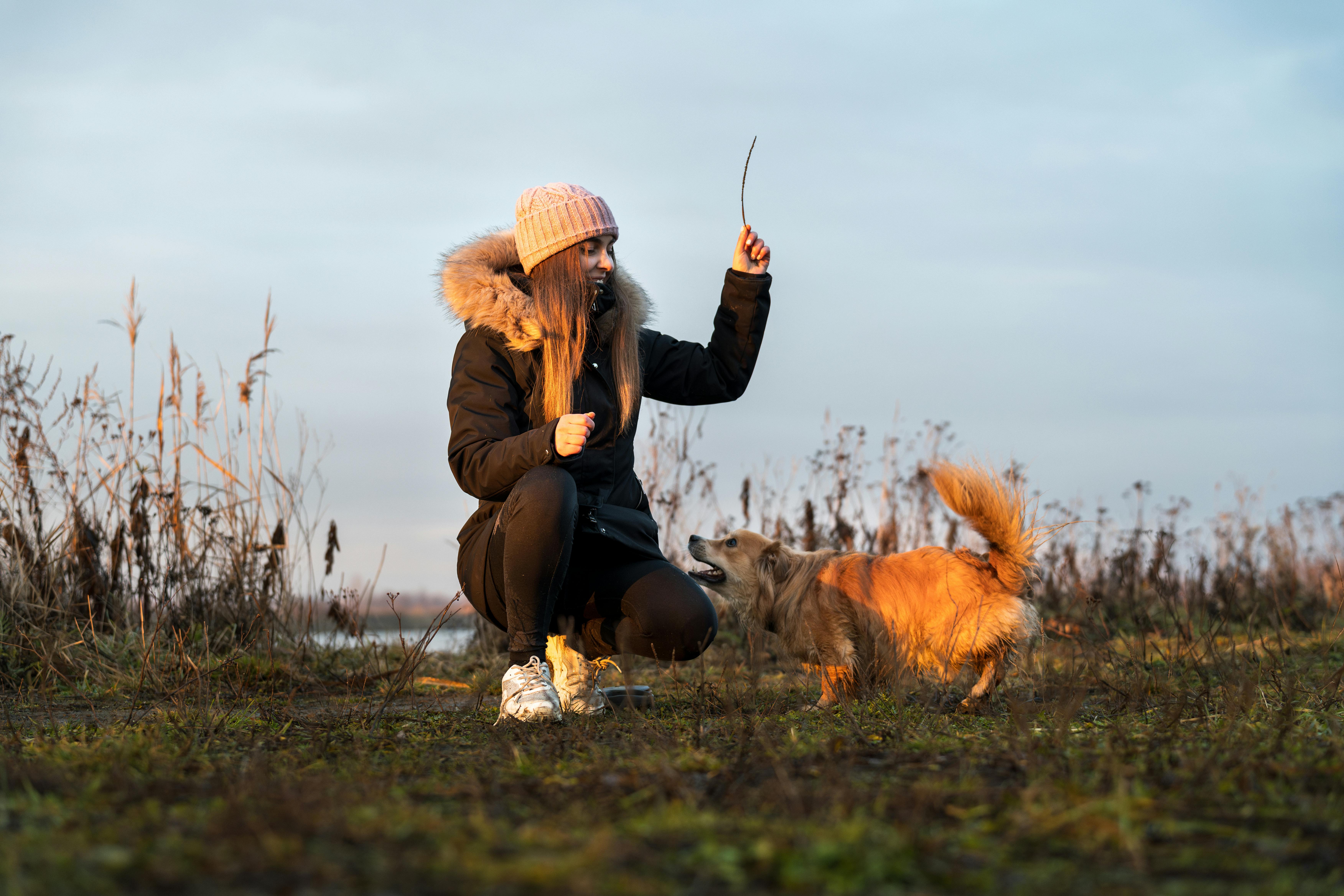 pet lifestyle pets lifestyle — Photo by Michał Robak on Pexels