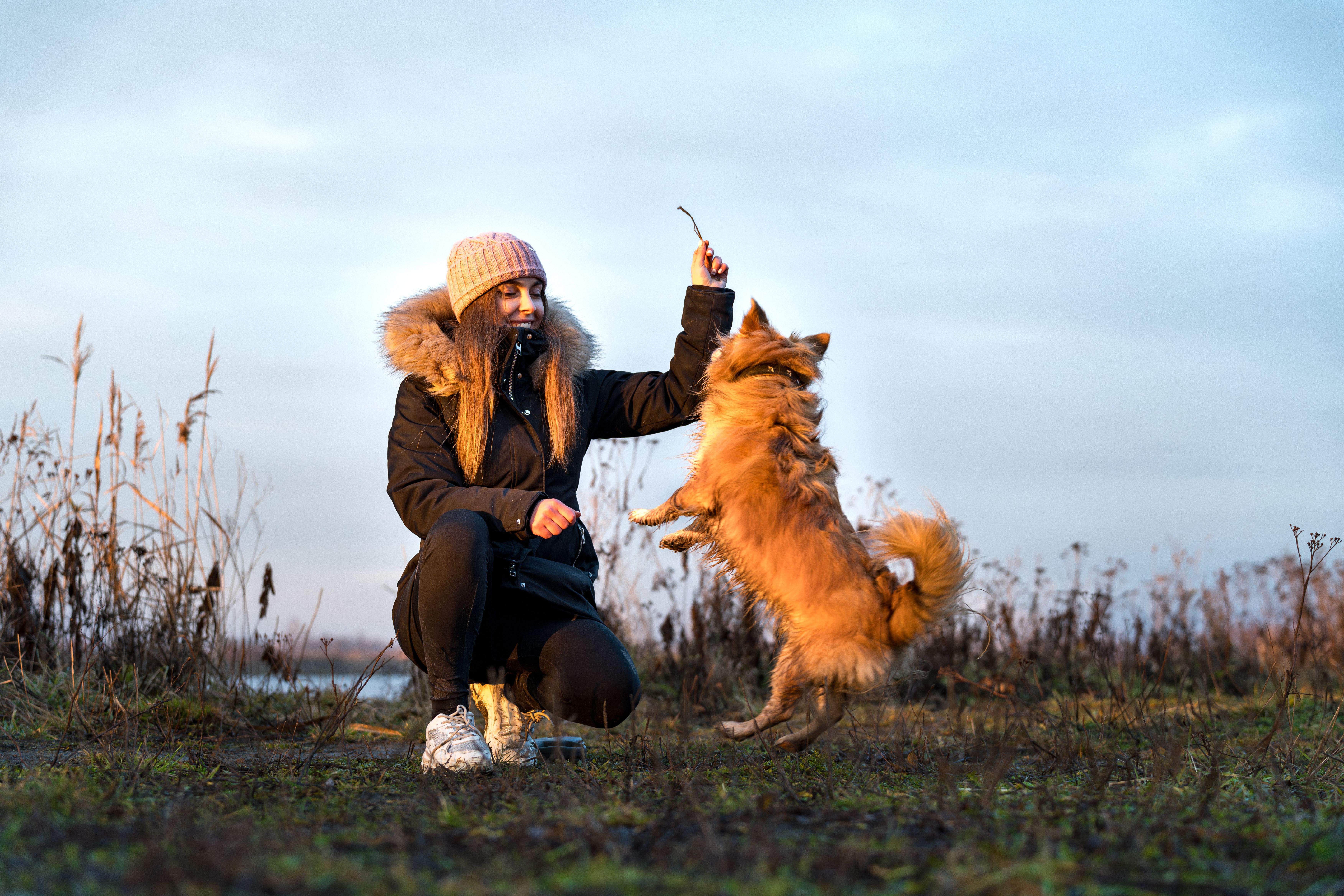 Pet owners see a 15% increase in veterinary costs this year — Photo by Michał Robak on Pexels