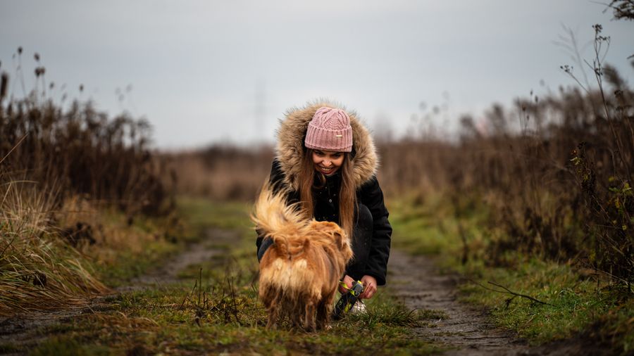 Getting a Dog to Actually Listen: The Mechanics Behind Reliable Responses