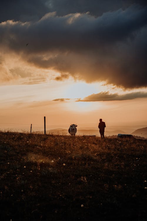 Free Person Standing on Hill Stock Photo