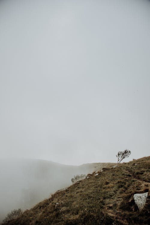 人, 健行, 多雲的 的 免费素材图片