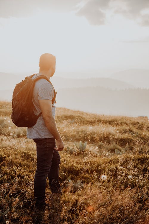 Homme Donnant Sur Les Montagnes