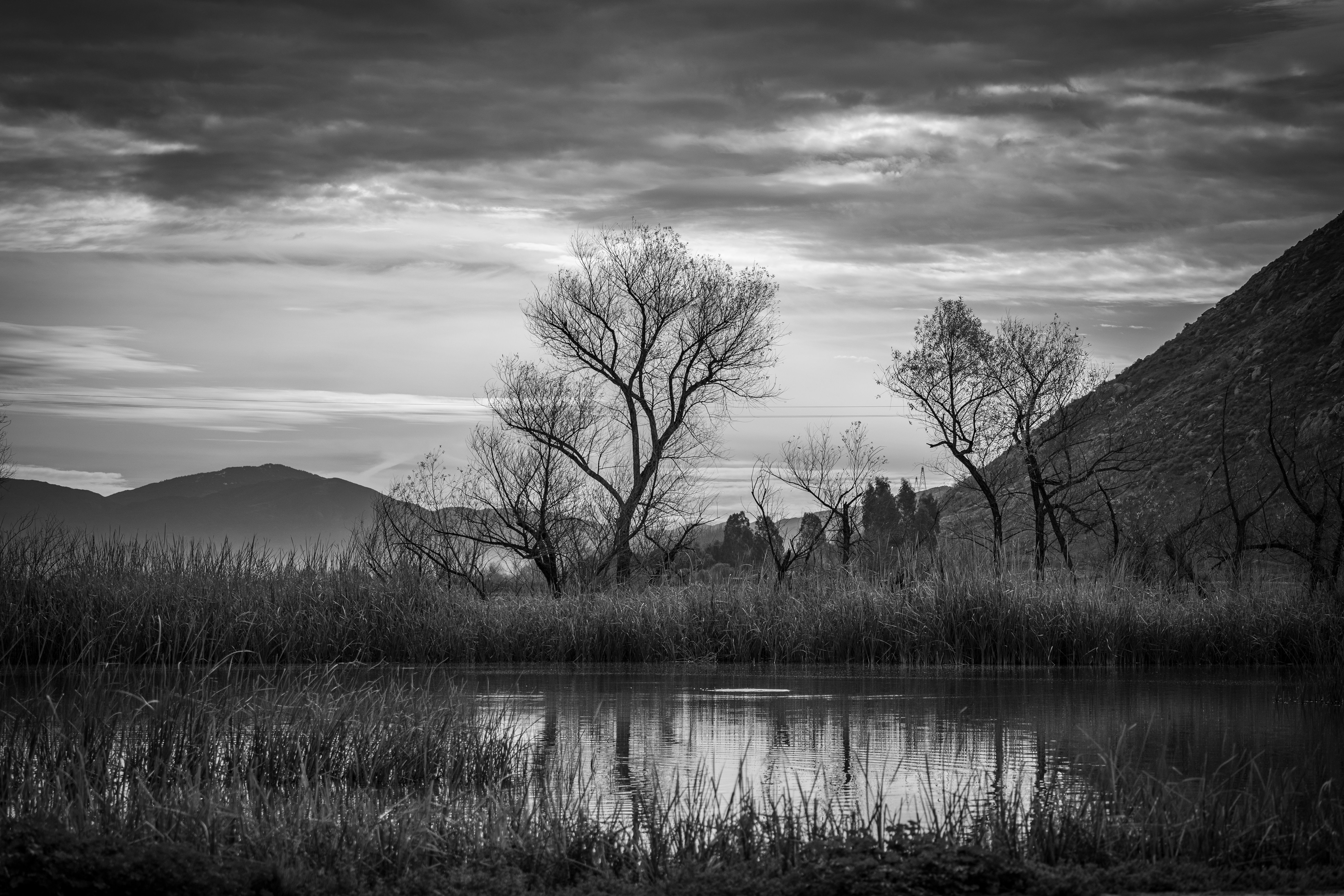 Serene Black and White Landscape in San Jacinto · Free Stock Photo