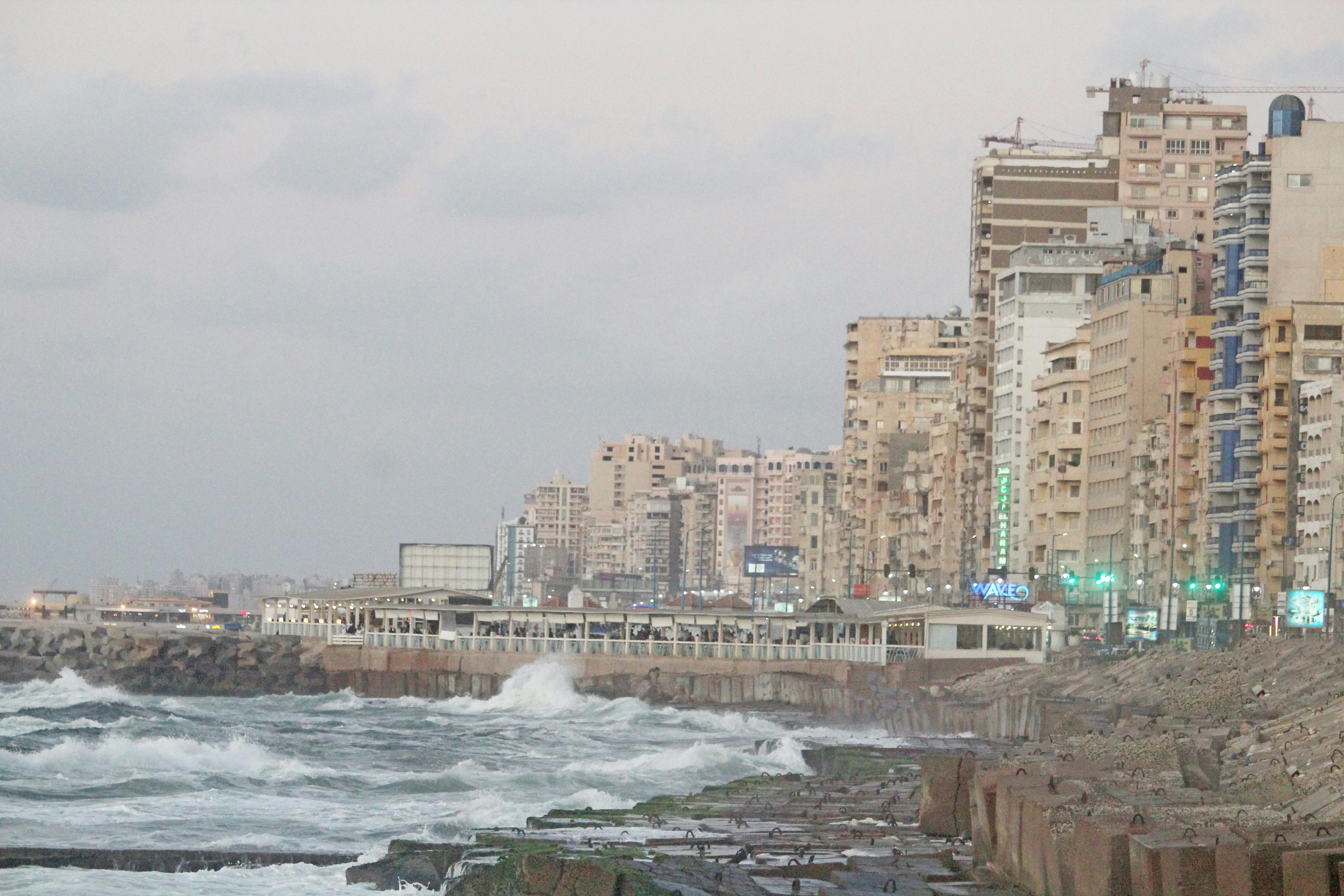 Foto profissional gratuita de alexandria, areia, Egito