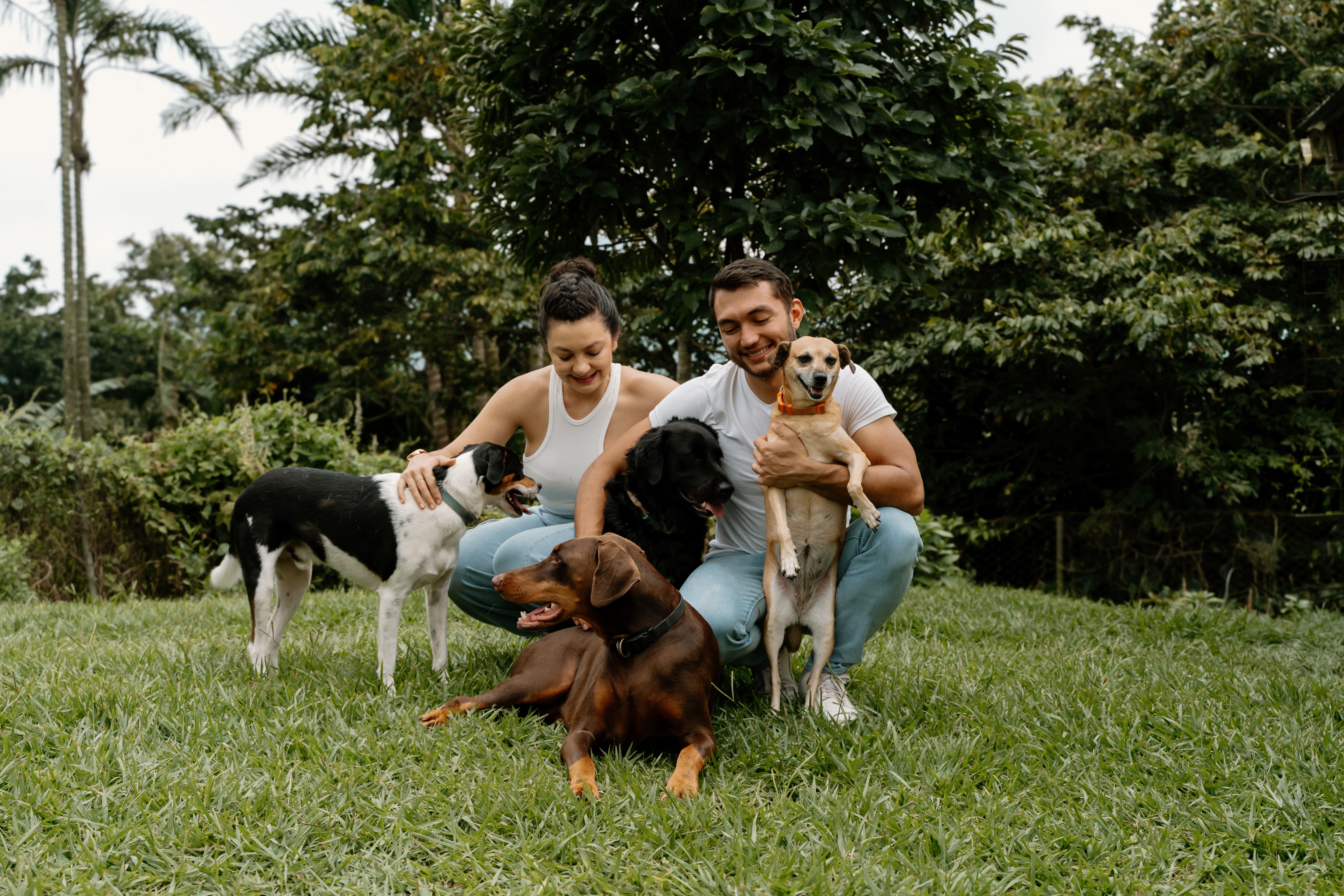 Happy Couple with Dogs in Costa Rica Garden · Free Stock Photo