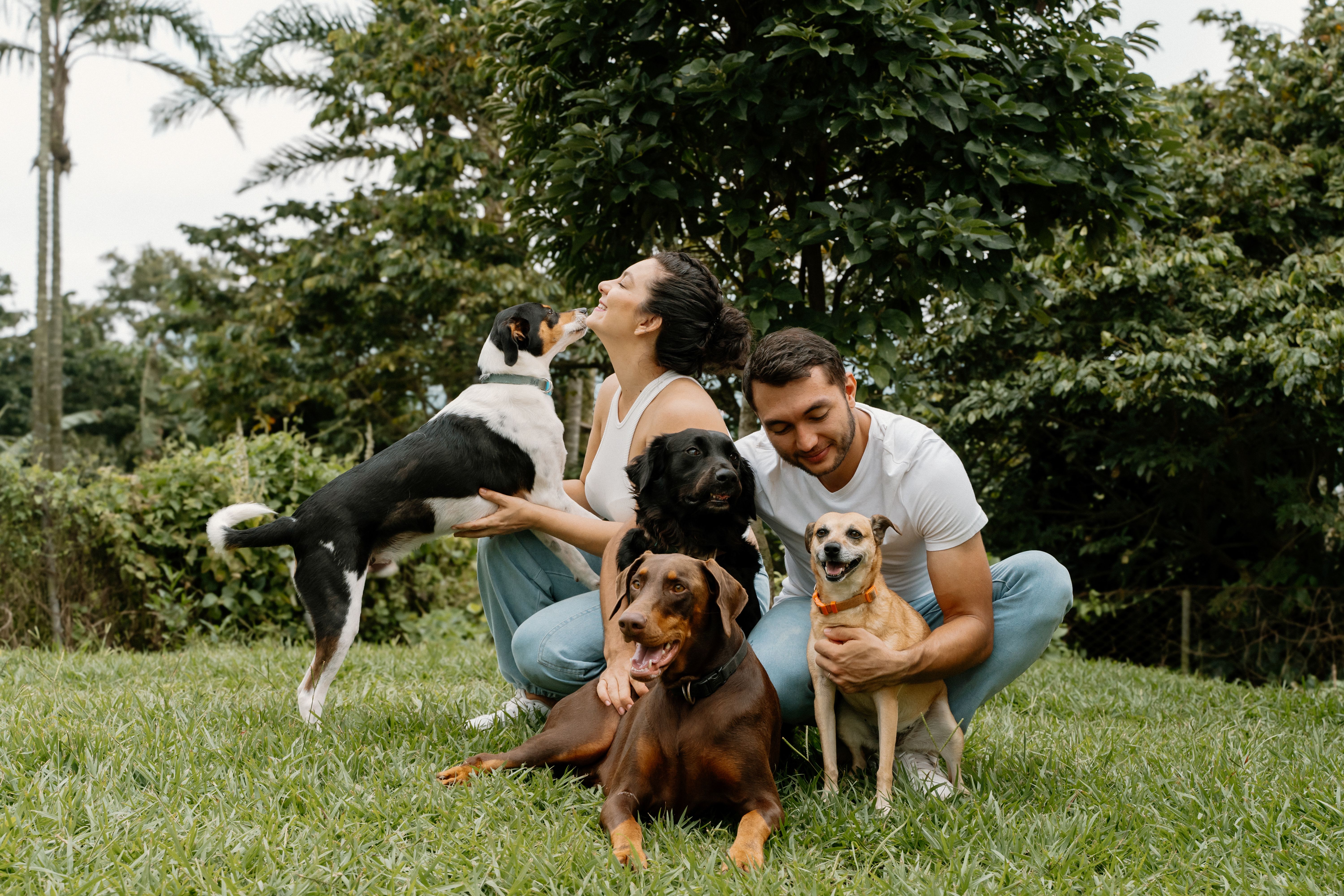 Couple Enjoying a Day Outdoors with Dogs · Free Stock Photo