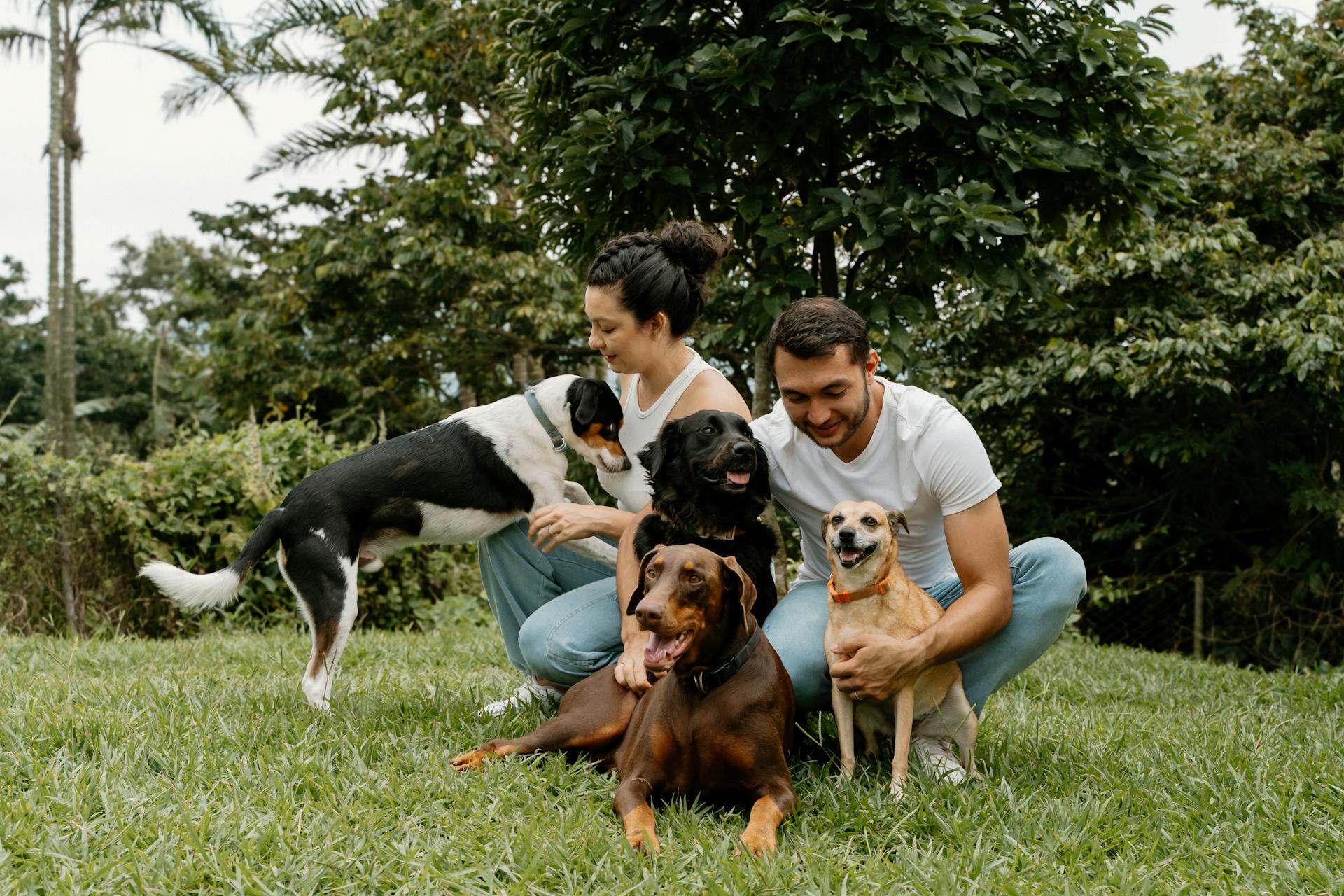 Happy couple playing with four dogs in a lush garden in Costa Rica.