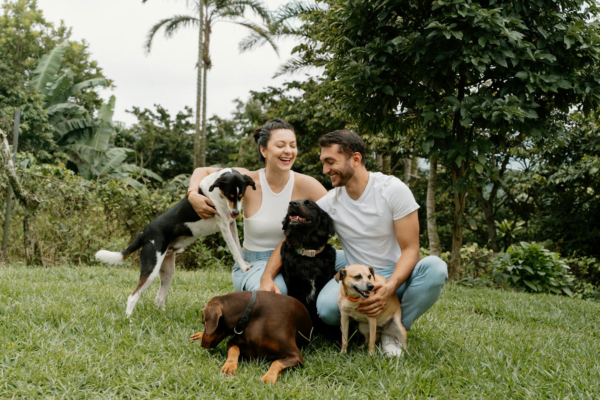 A joyful couple with four dogs enjoying time in a tropical garden in Naranjo de Alajuela, Costa Rica.