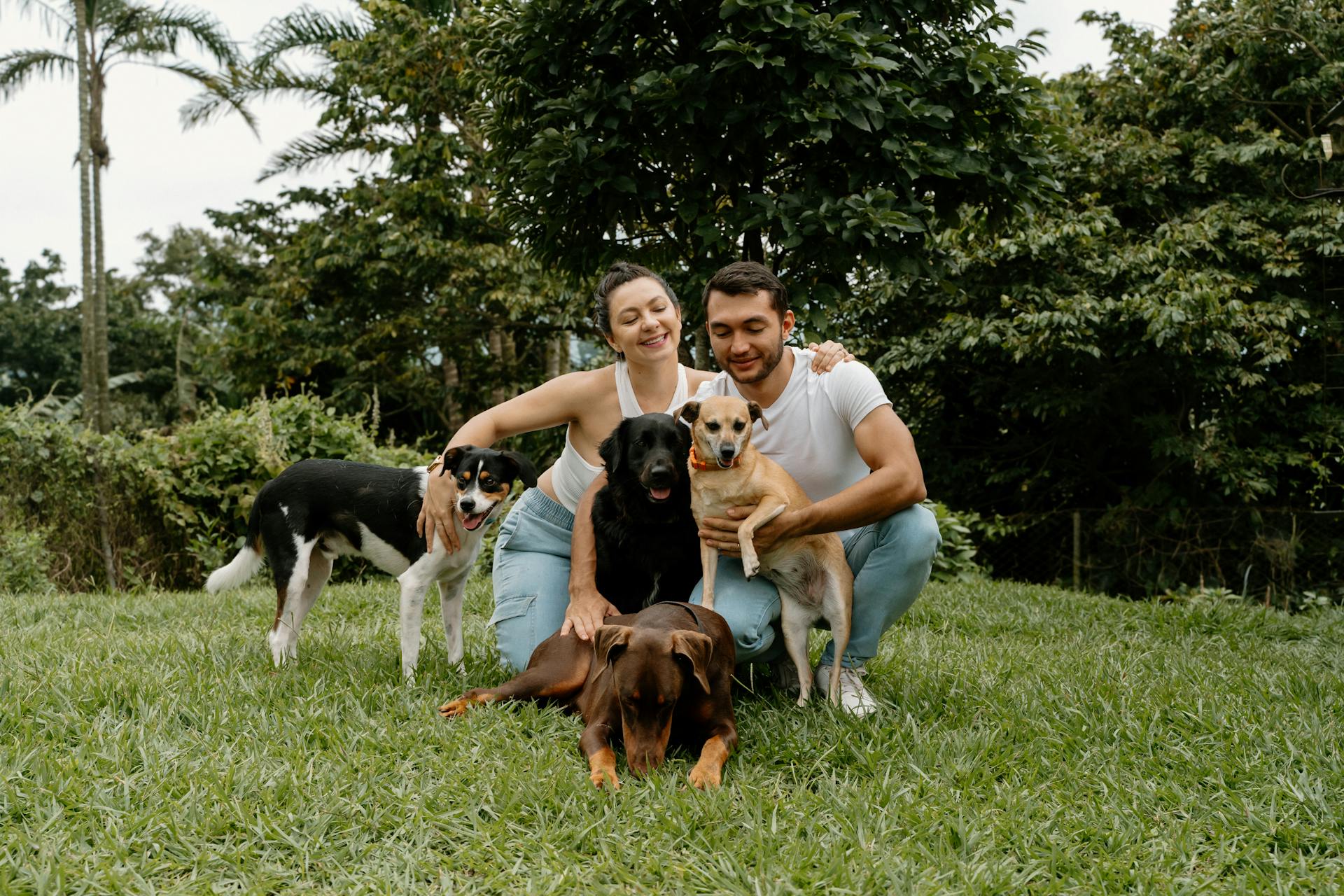 Couple enjoying time with their dogs in a lush garden in Costa Rica.