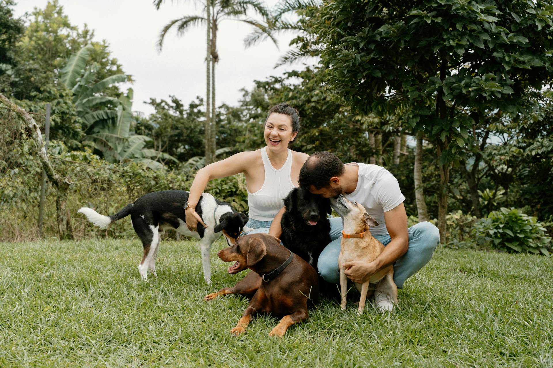 A joyful couple enjoying a sunny day with their pets in a lush Costa Rican garden.