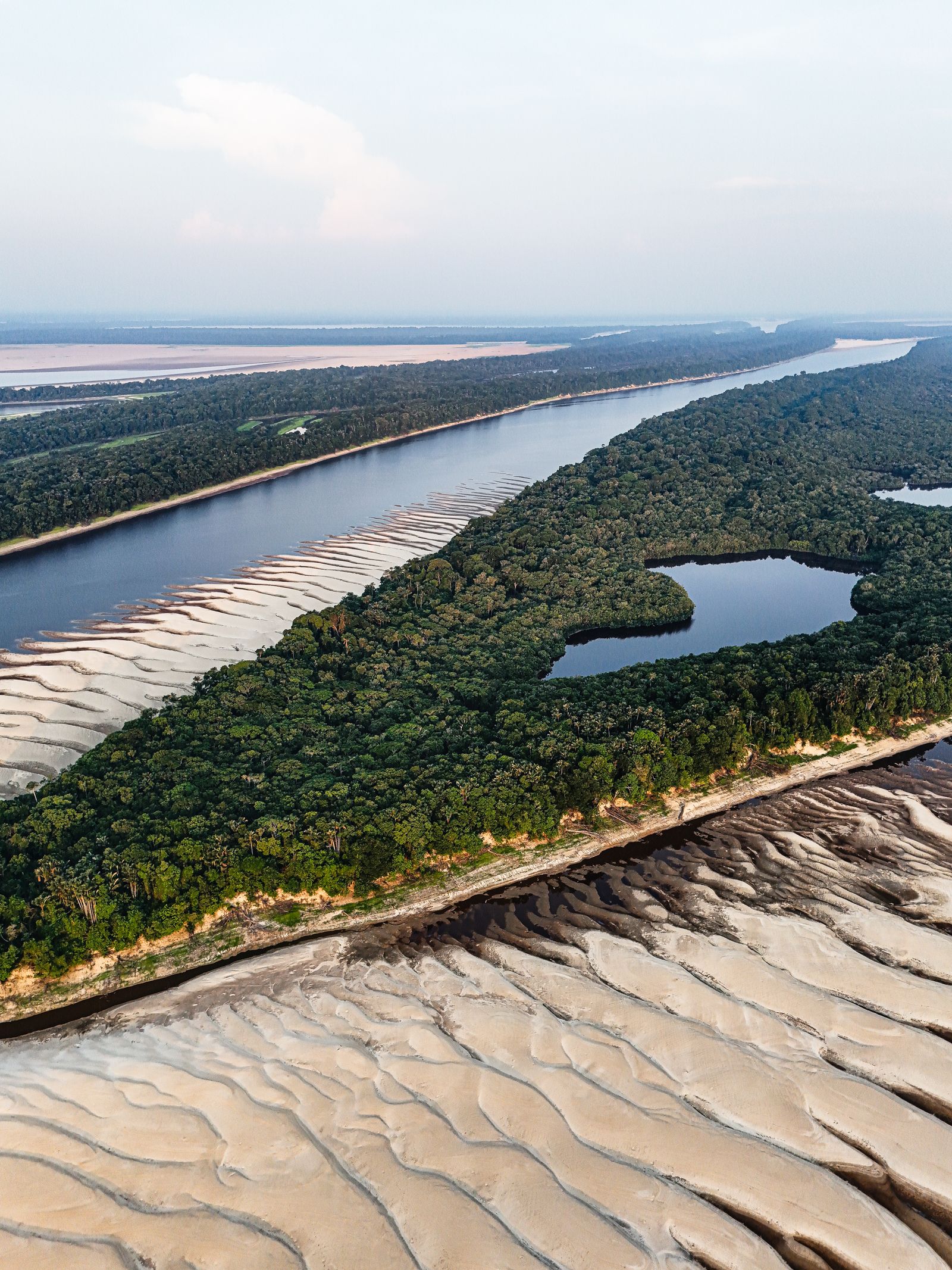 Amazônia