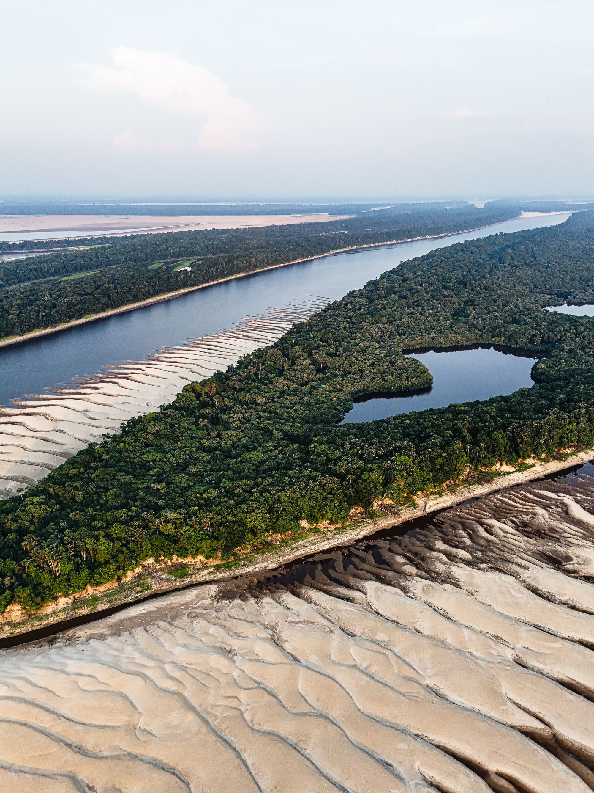 Vista aérea de um rio serpenteando pela densa floresta amazônica