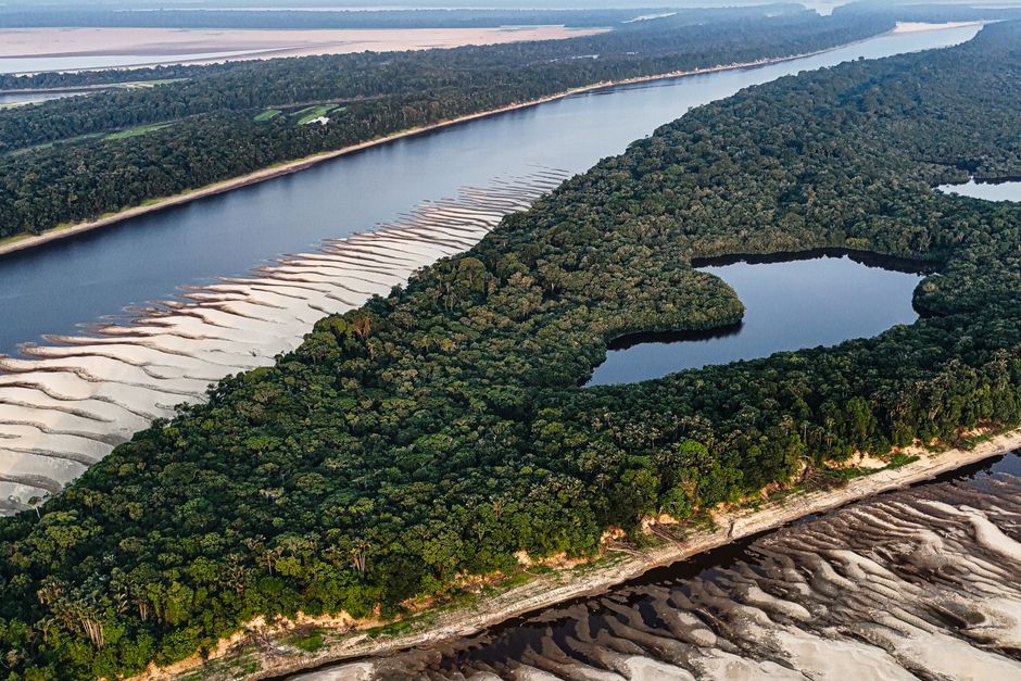 Aerial view of the Amazon River winding through dense rainforest — ayahuasca is brewed from Banisteriopsis caapi vine and Psychotria viridis leaves native to Amazonian traditions