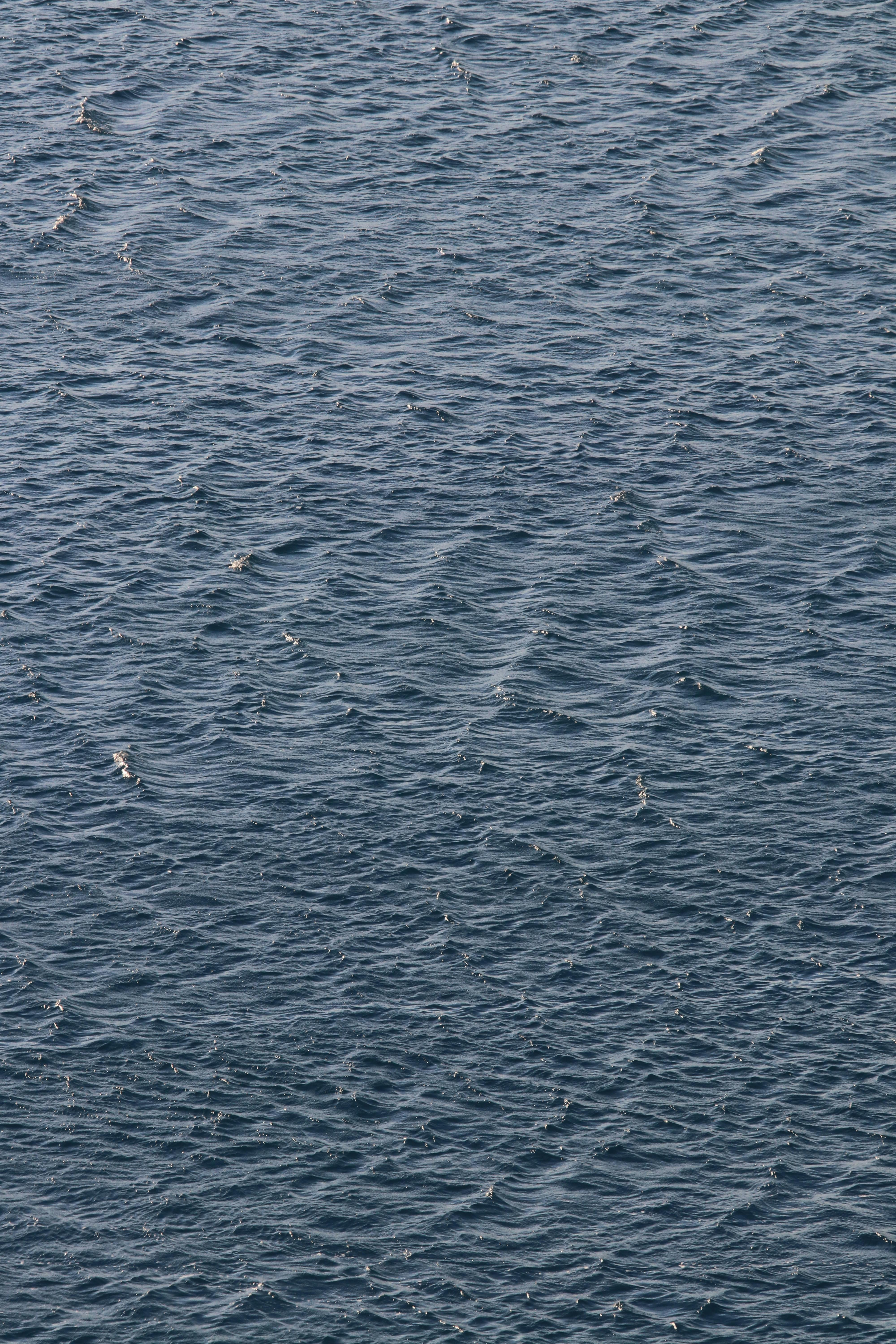 Challenges‌ and criticisms‌ of the ⁤Fresh Complaint Exception