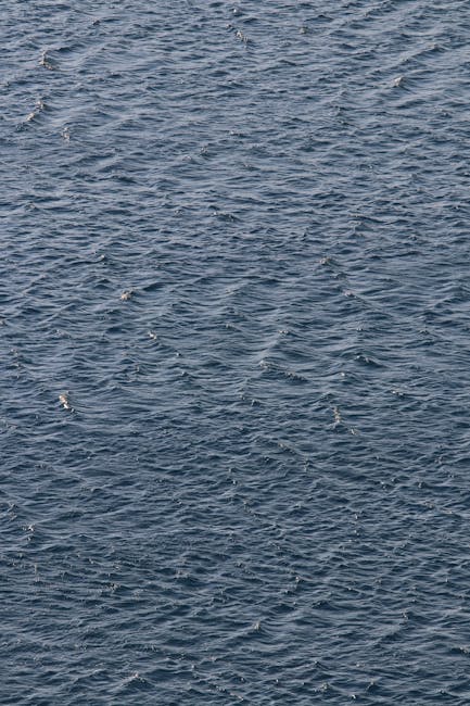 Challenges and criticisms of the Fresh Complaint Exception