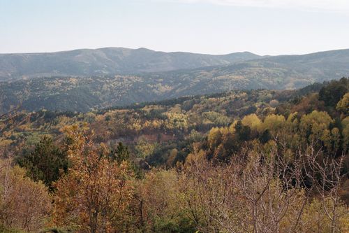 Free Vibrant autumn foliage and rolling hills create a serene landscape view. Stock Photo
