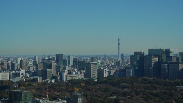 What are the Best Food Tours in Tokyo