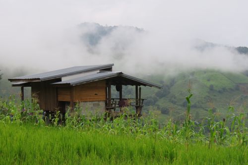 Free A serene wooden cabin surrounded by lush greenery and misty mountains. Stock Photo